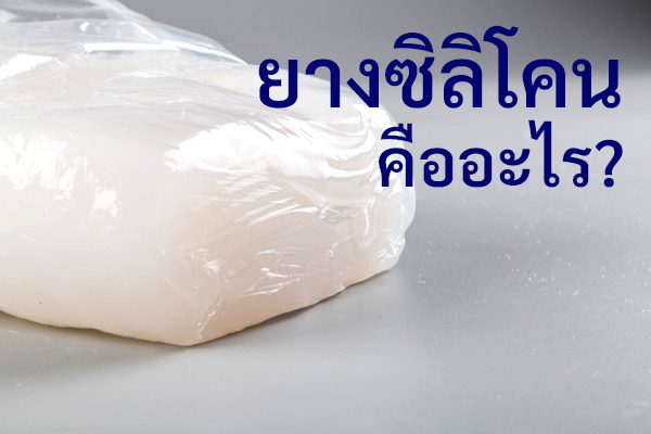 ยางซิลิโคนคือ - Vendor Shop -