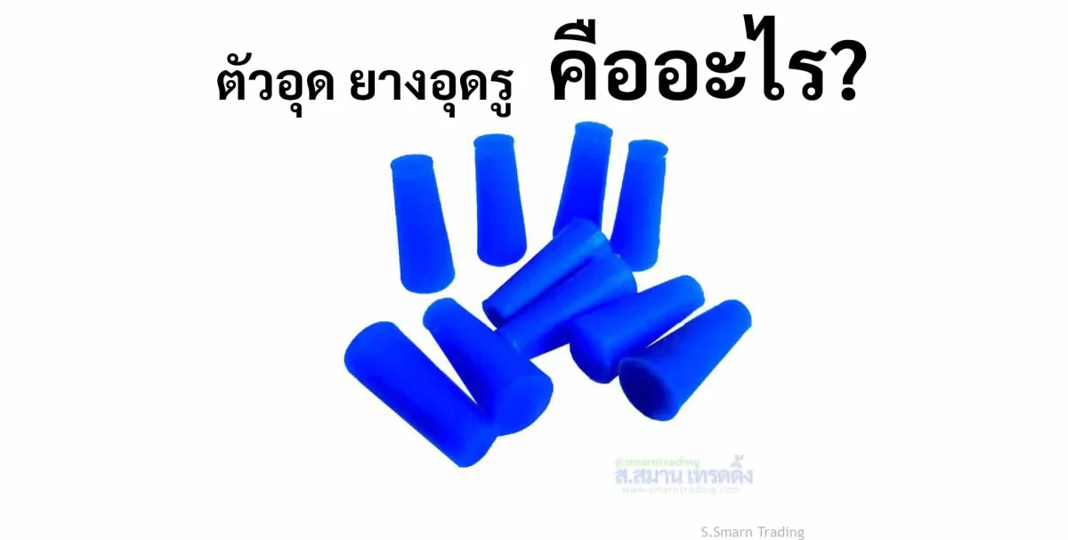 ตัวอุด ยางอุดรู ซิลิโคนปิดรู ทนความร้อน ตัวอุด ยางอุดรู ซิลิโคนปิดรู ทนความร้อน